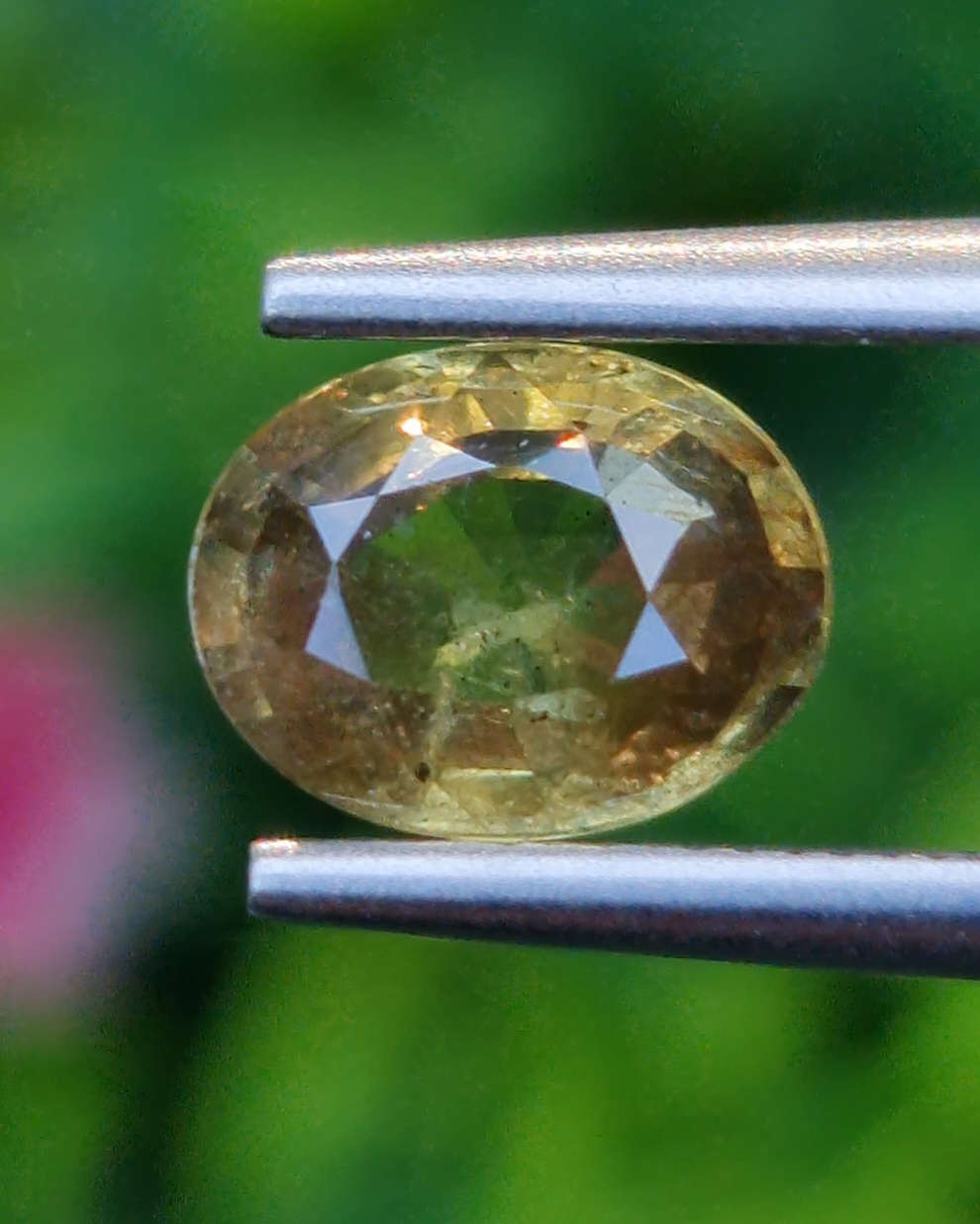 บุษราคัม Yellow Sapphire