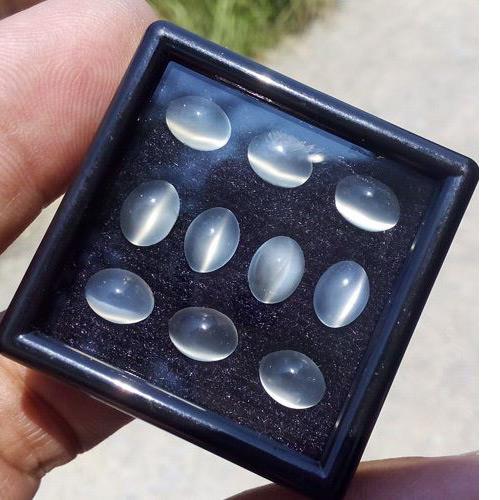 พลอย ตาแมว มูนสโตน Cat eye Moonstone
