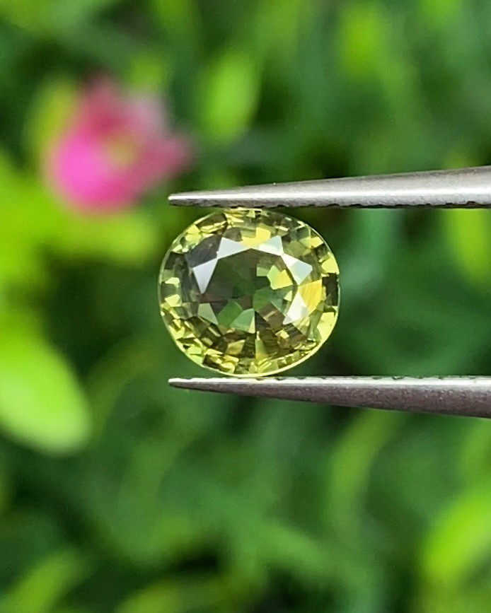 บุษราคัม Yellow Sapphire