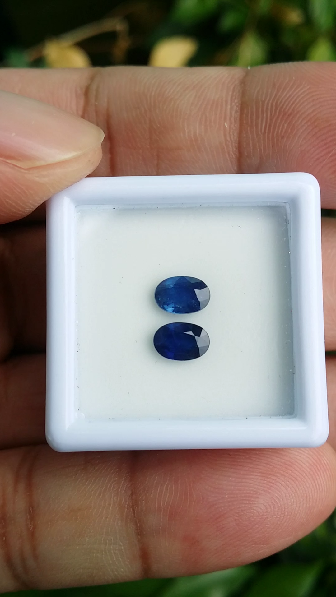 ไพลิน Natural Sapphire