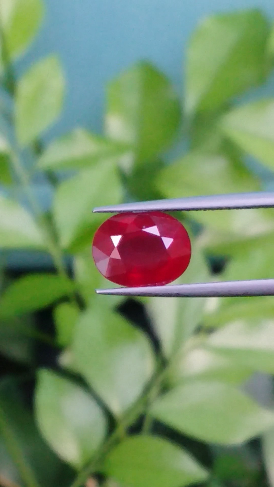 พลอย ทับทิม Ruby sapphire