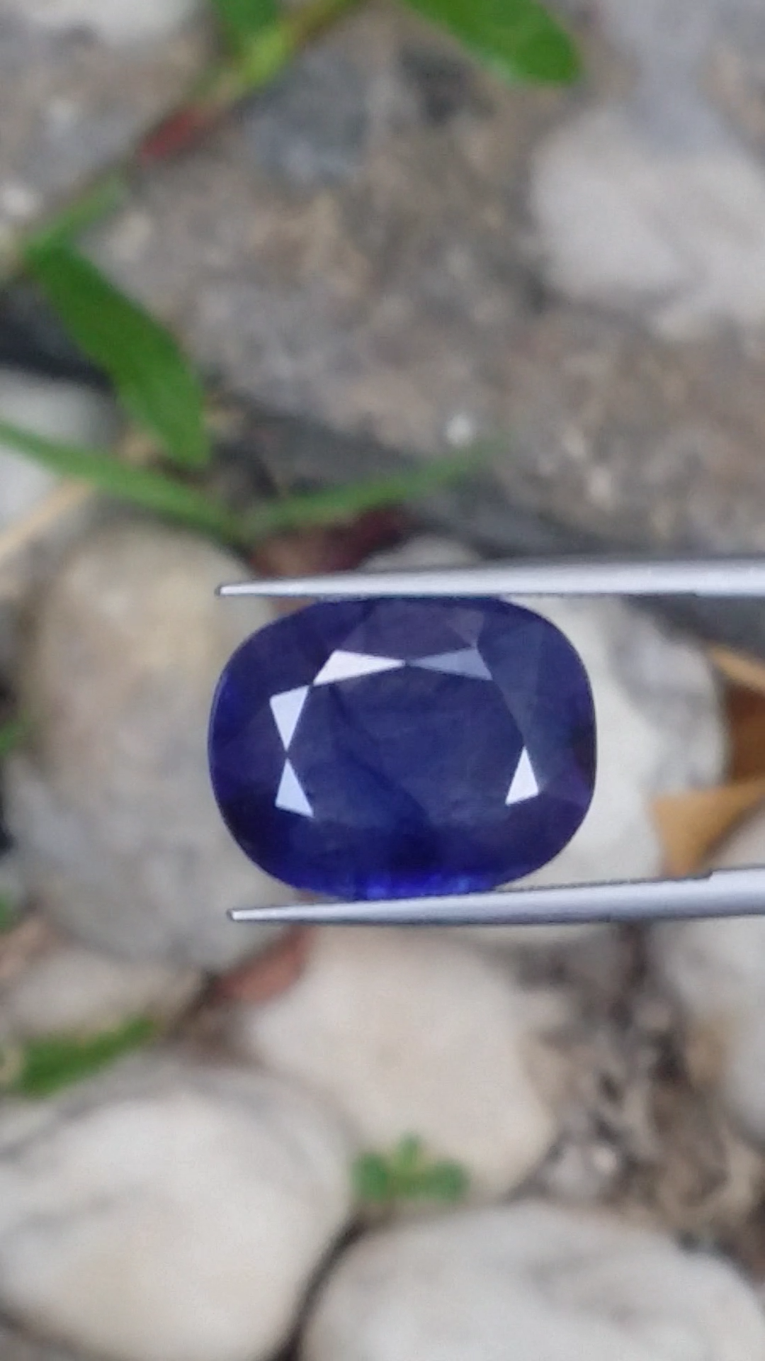 ไพลิน Natural Sapphire