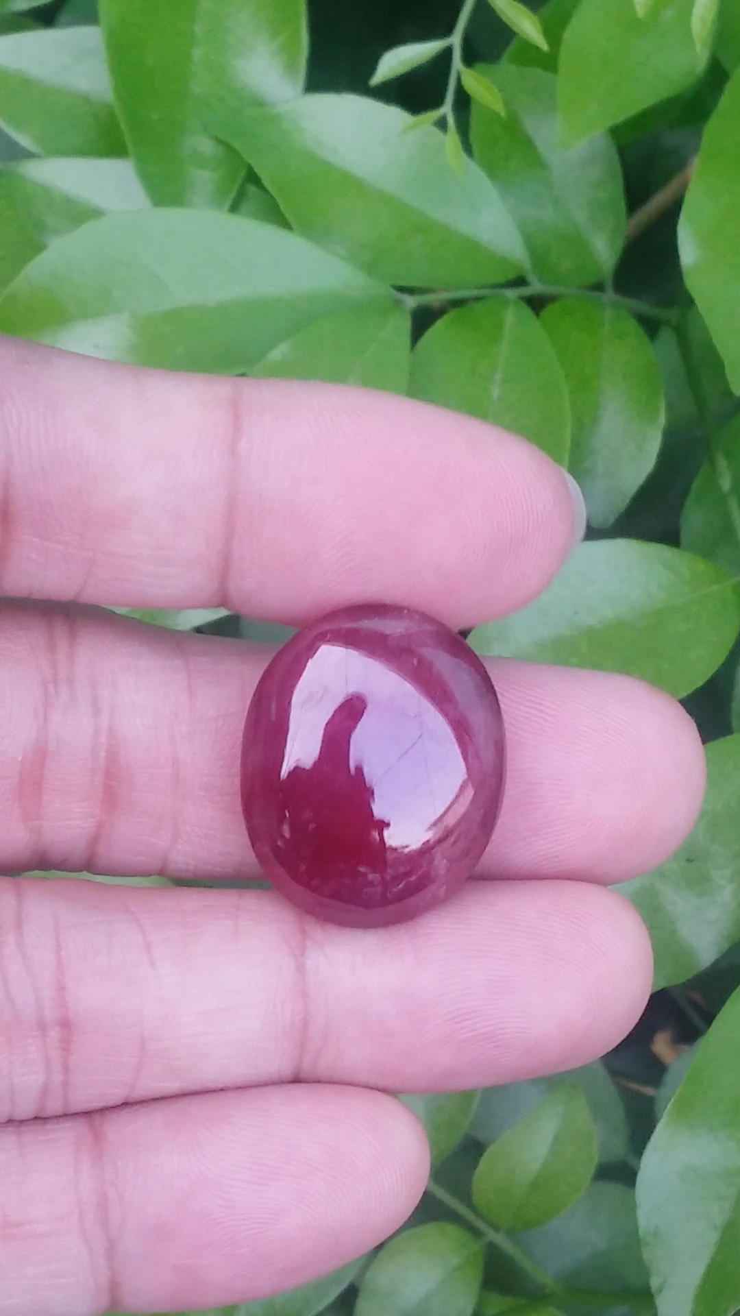 พลอย ทับทิม Ruby sapphire
