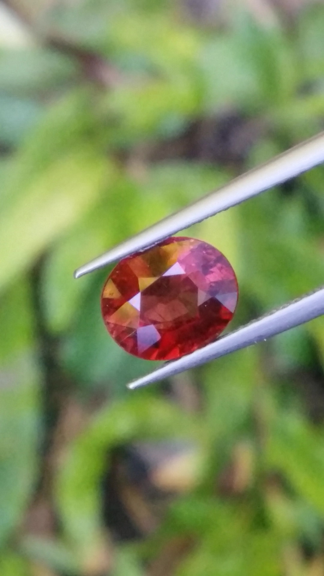 ทัวร์มาลีน Natural Tourmaline