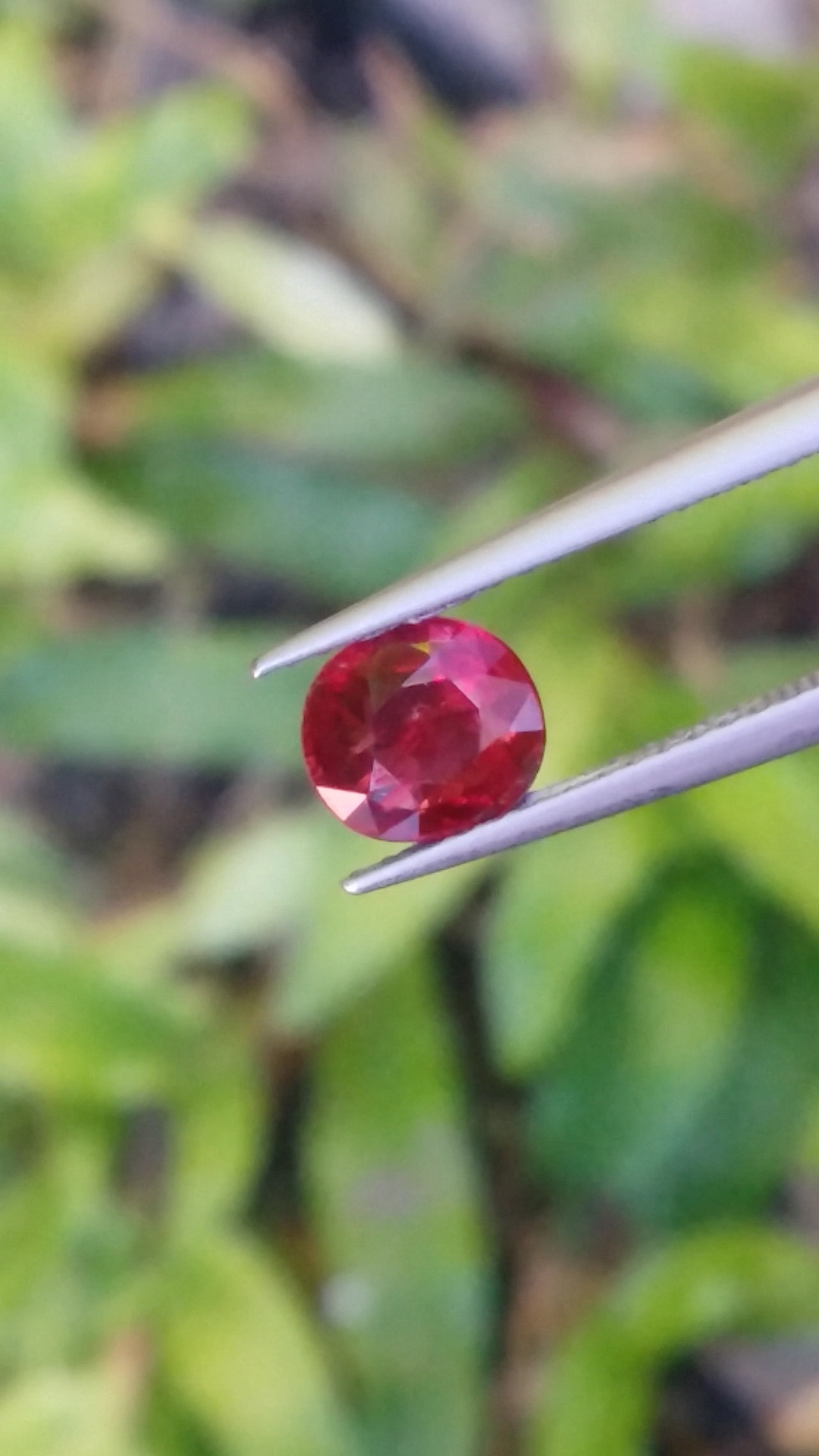 พลอย ทับทิม Ruby sapphire