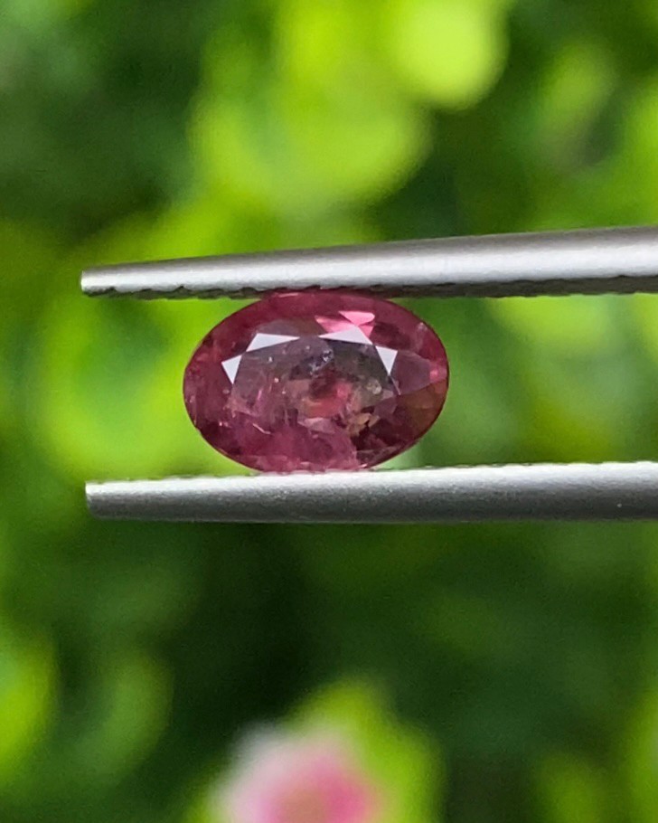 พลอย ทับทิม Ruby sapphire