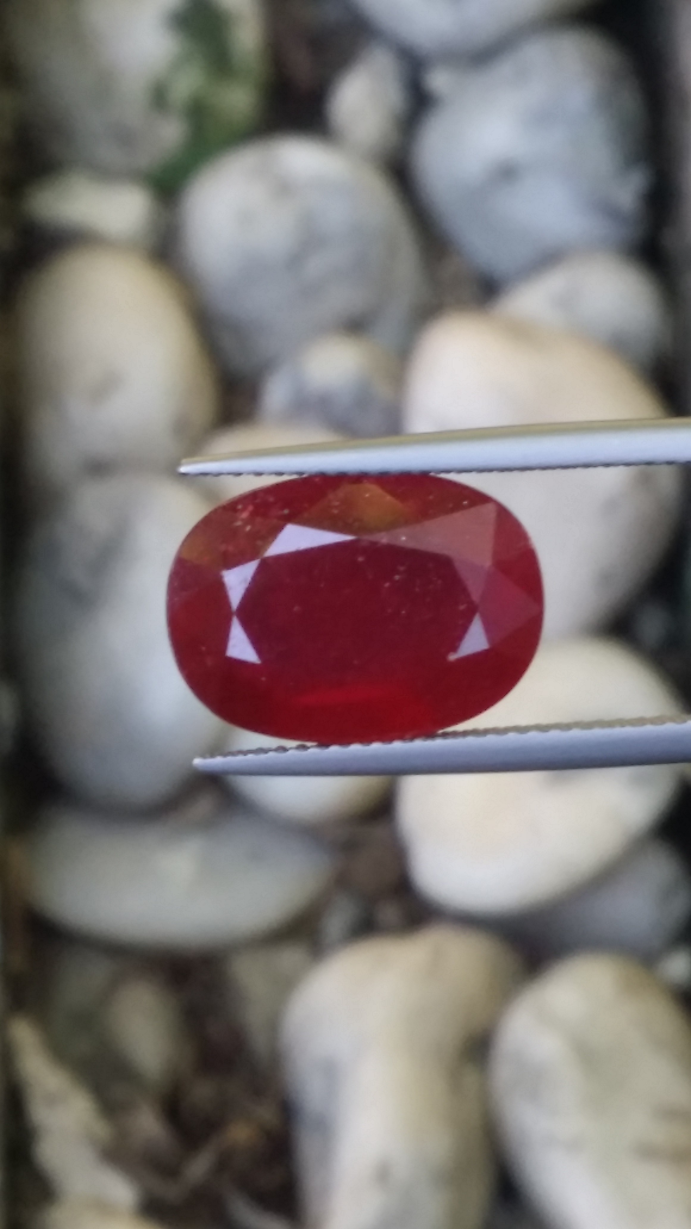 พลอย ทับทิม Ruby sapphire
