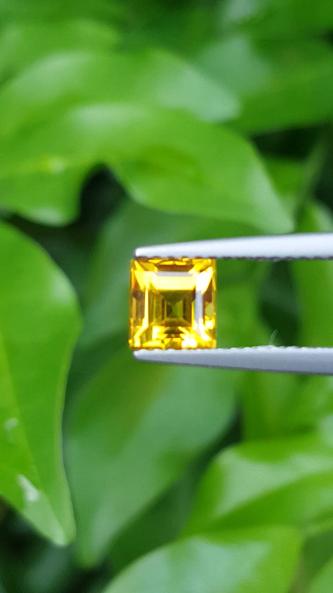 บุษราคัม (Yellow Sapphire)