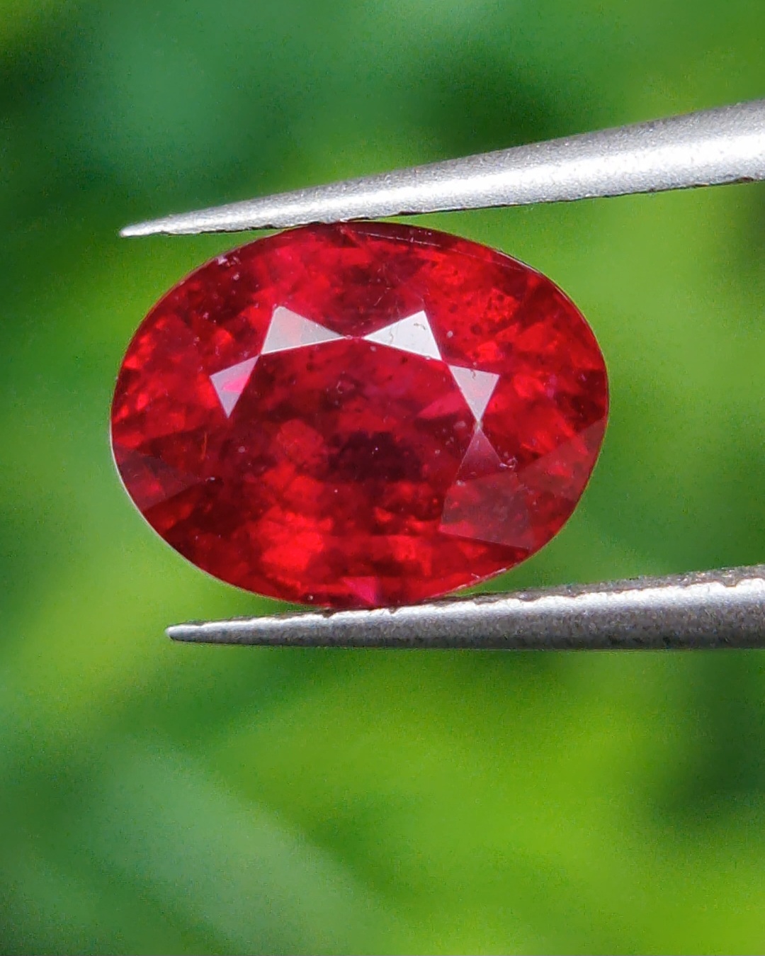 พลอย ทับทิม Ruby sapphire