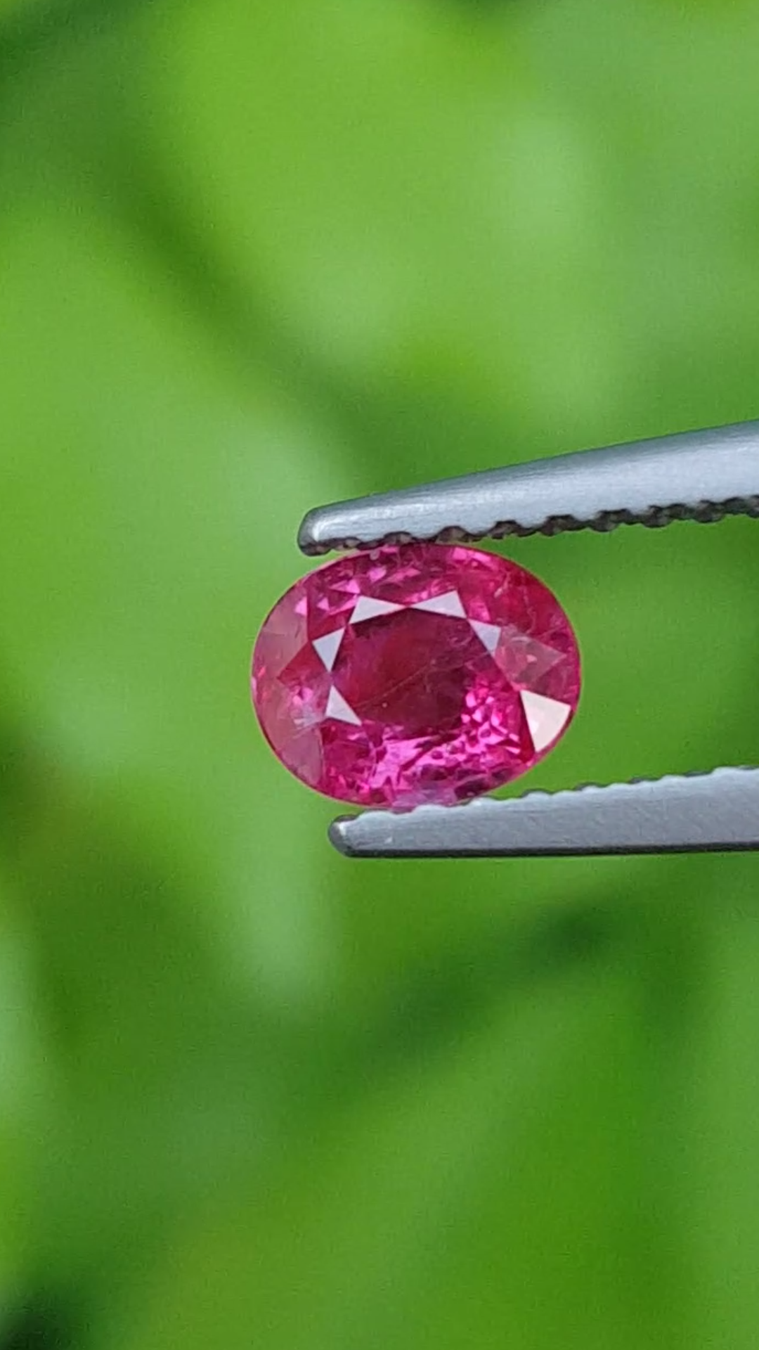 พลอย ทับทิม Ruby sapphire