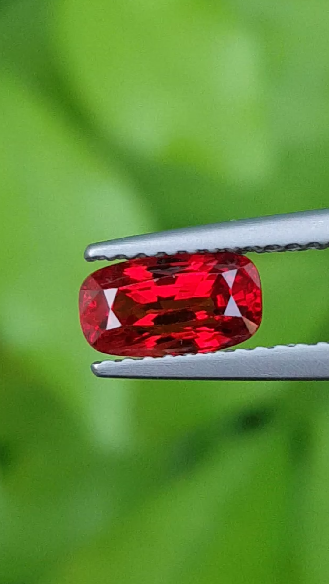 ทับทิม Ruby Sapphire