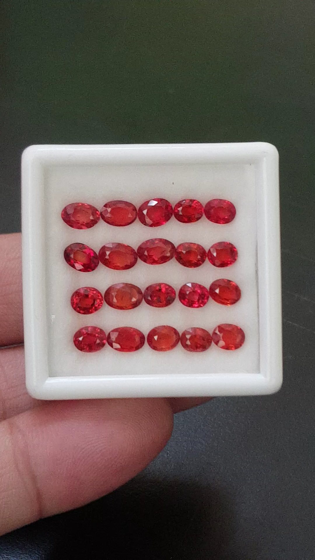 ทับทิม Ruby Sapphire