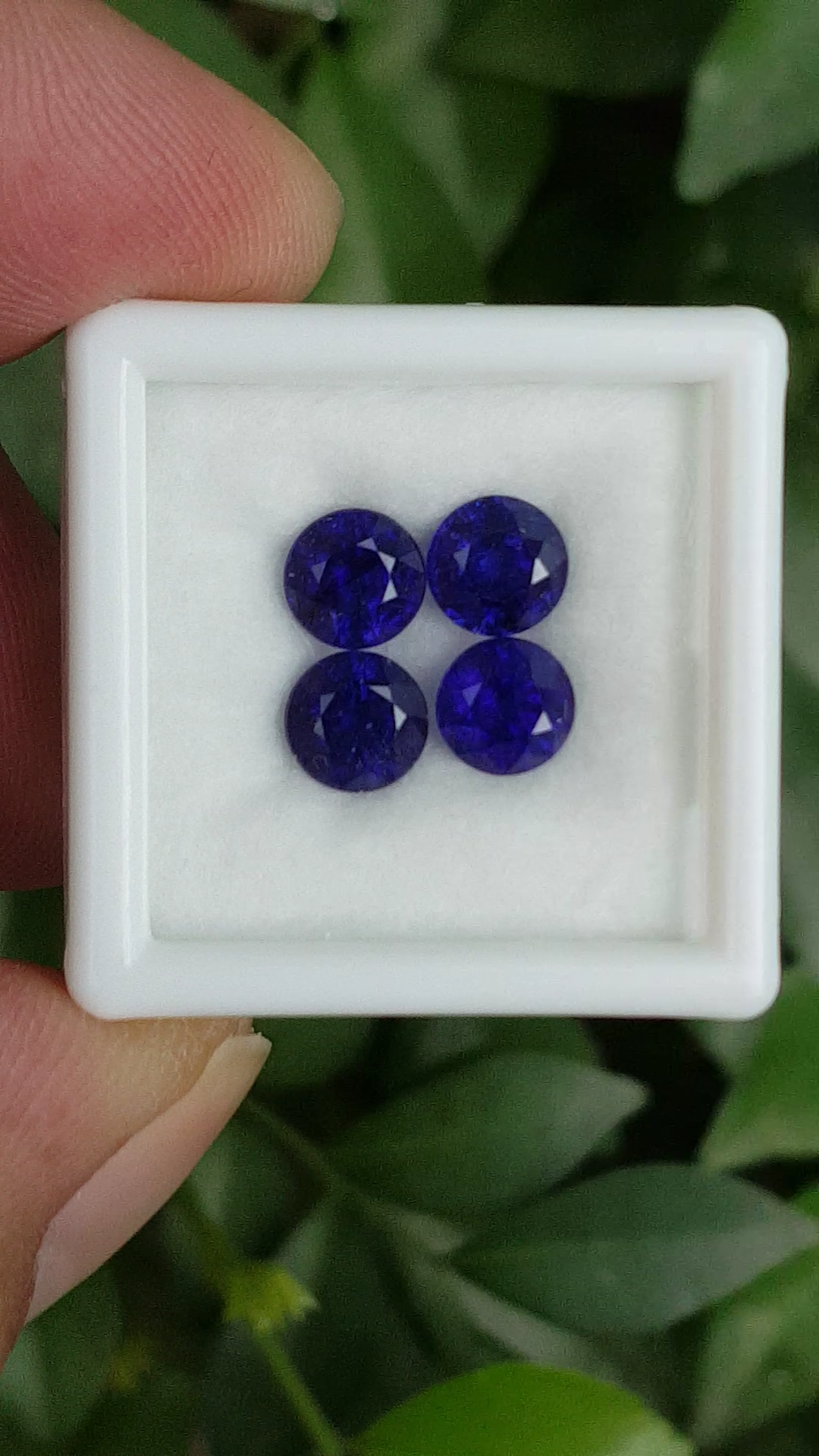 ไพลิน Natural Sapphire