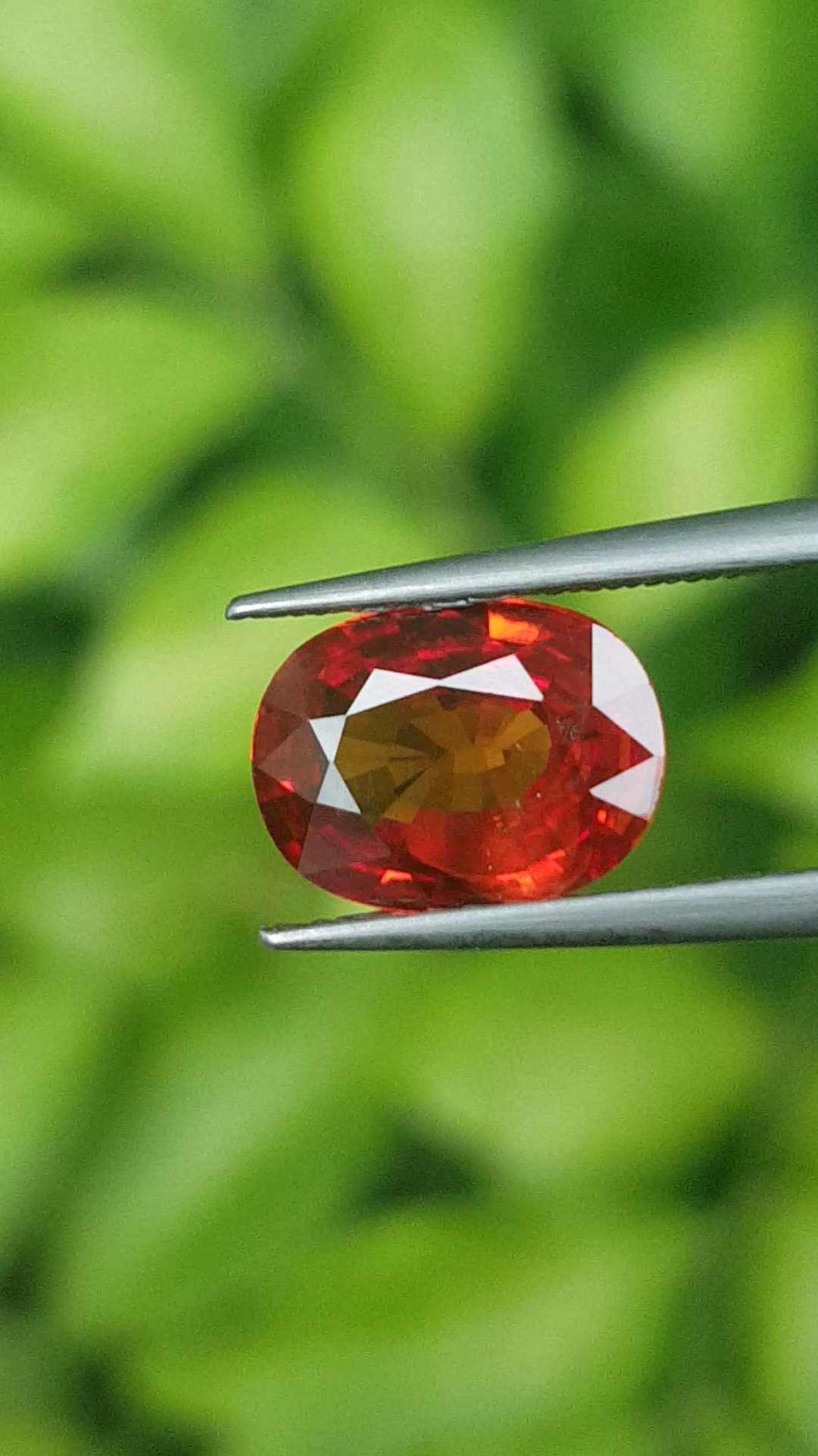 ทับทิม Ruby Sapphire