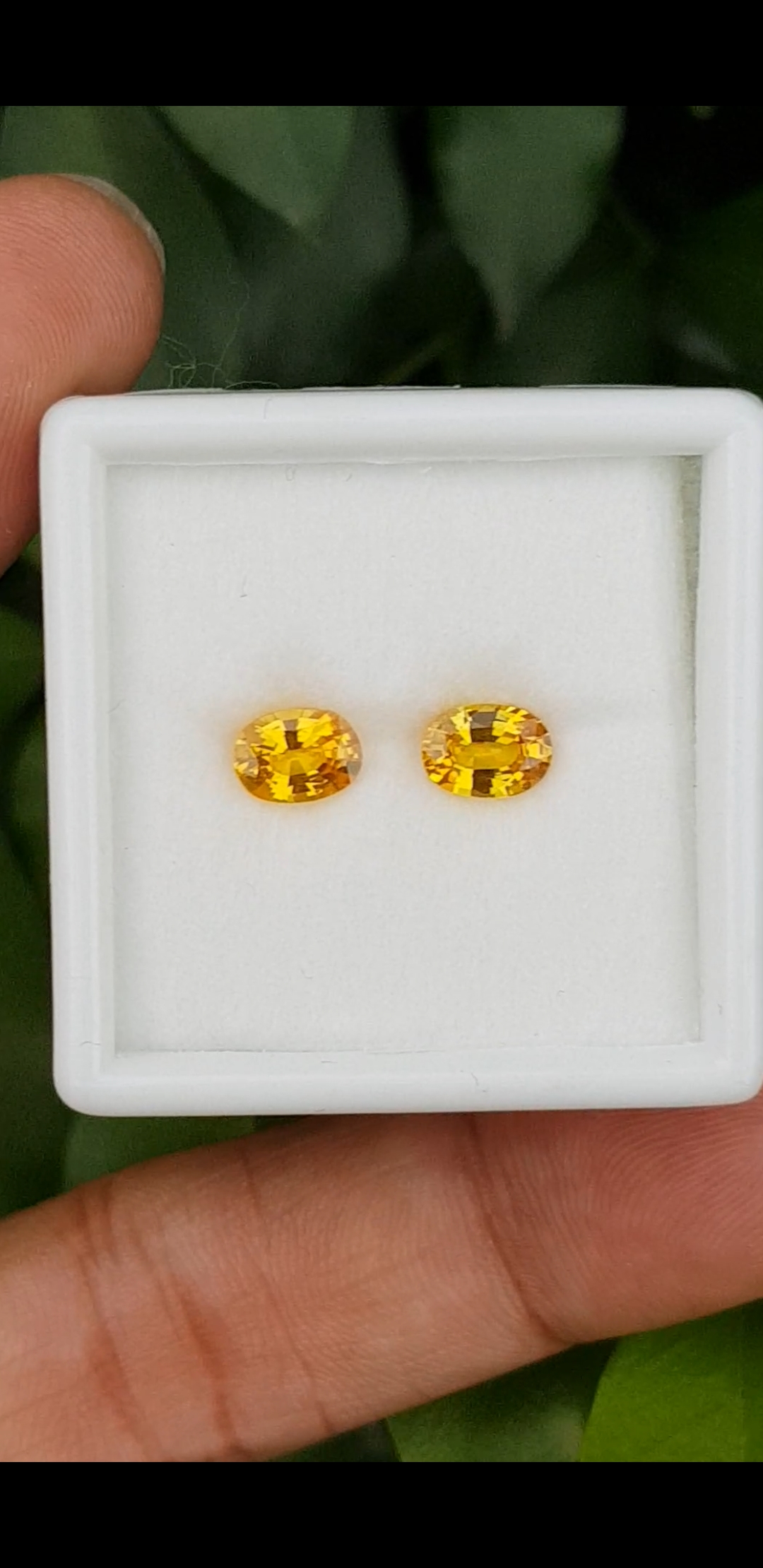 บุษราคัม (Yellow Sapphire)