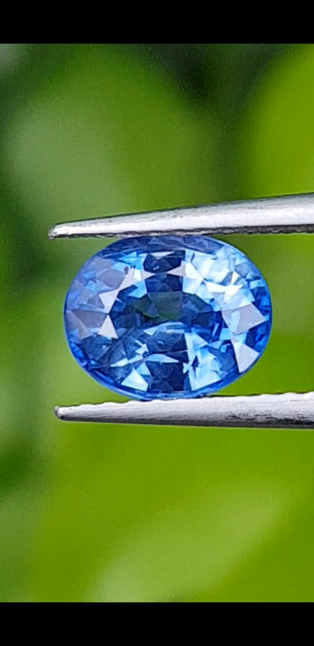 ไพลิน Natural Sapphire