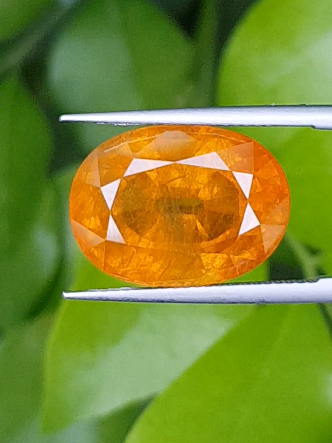บุษราคัม (Yellow Sapphire)