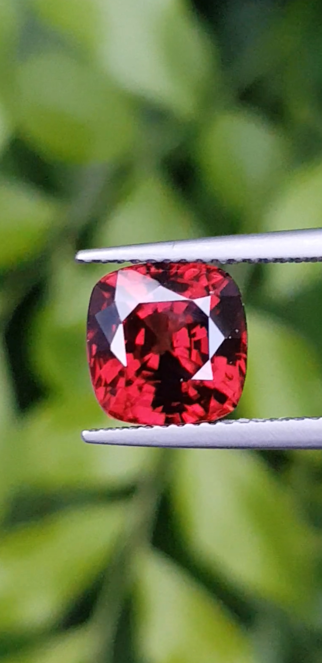 เพทาย Natural Zircon