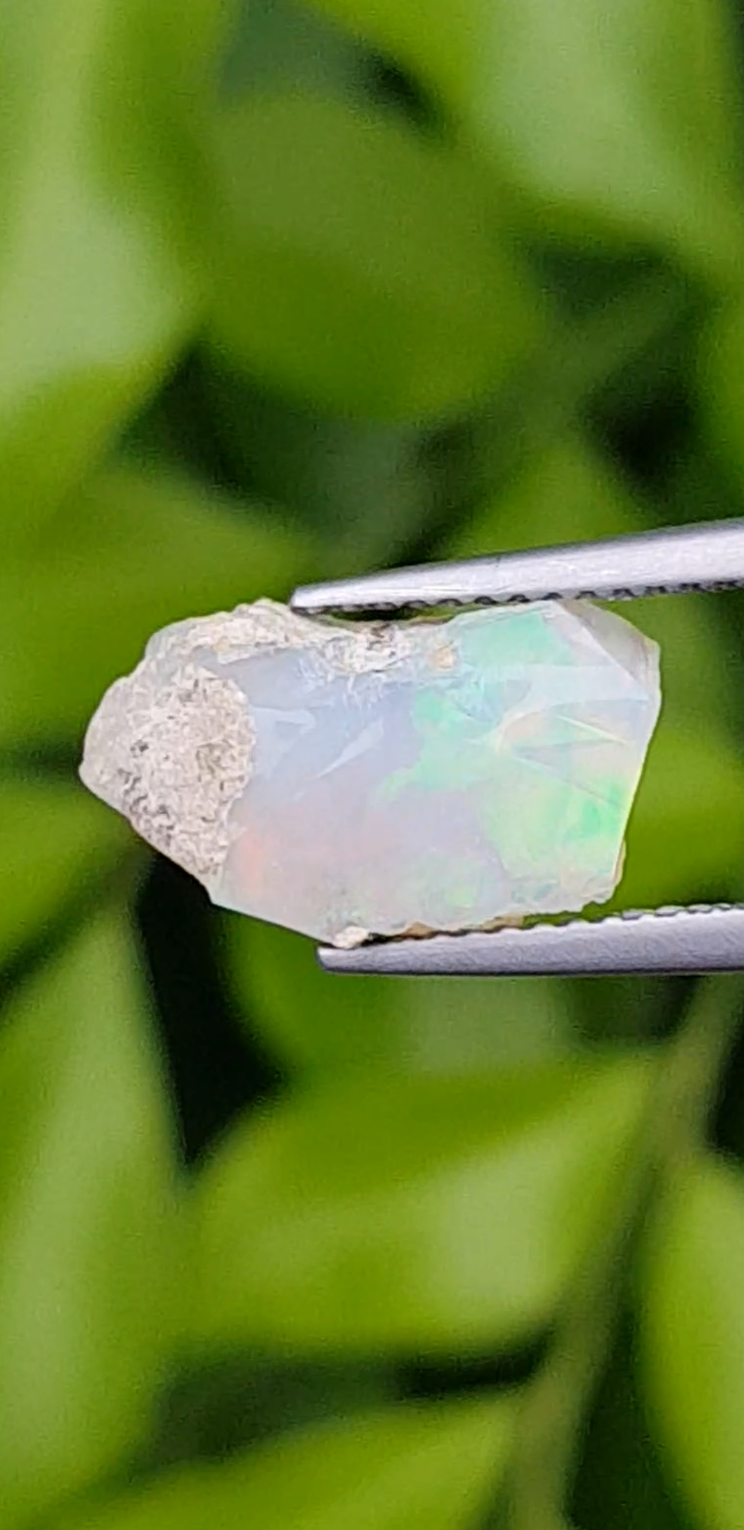 พลอย โอปอล Opal