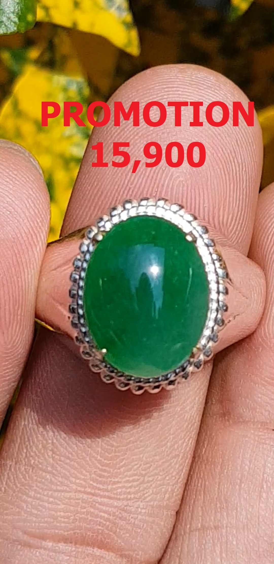 แหวน หยก (jadeite Ring)