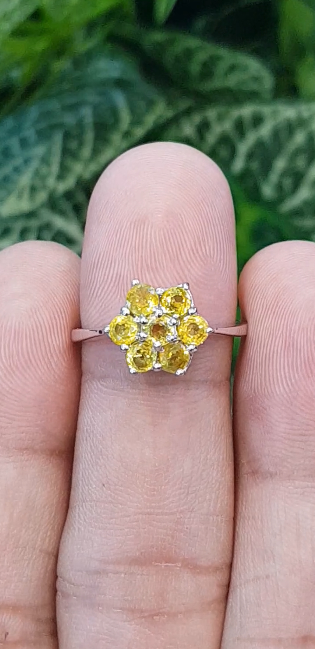 บุษราคัม Yellow Sapphire