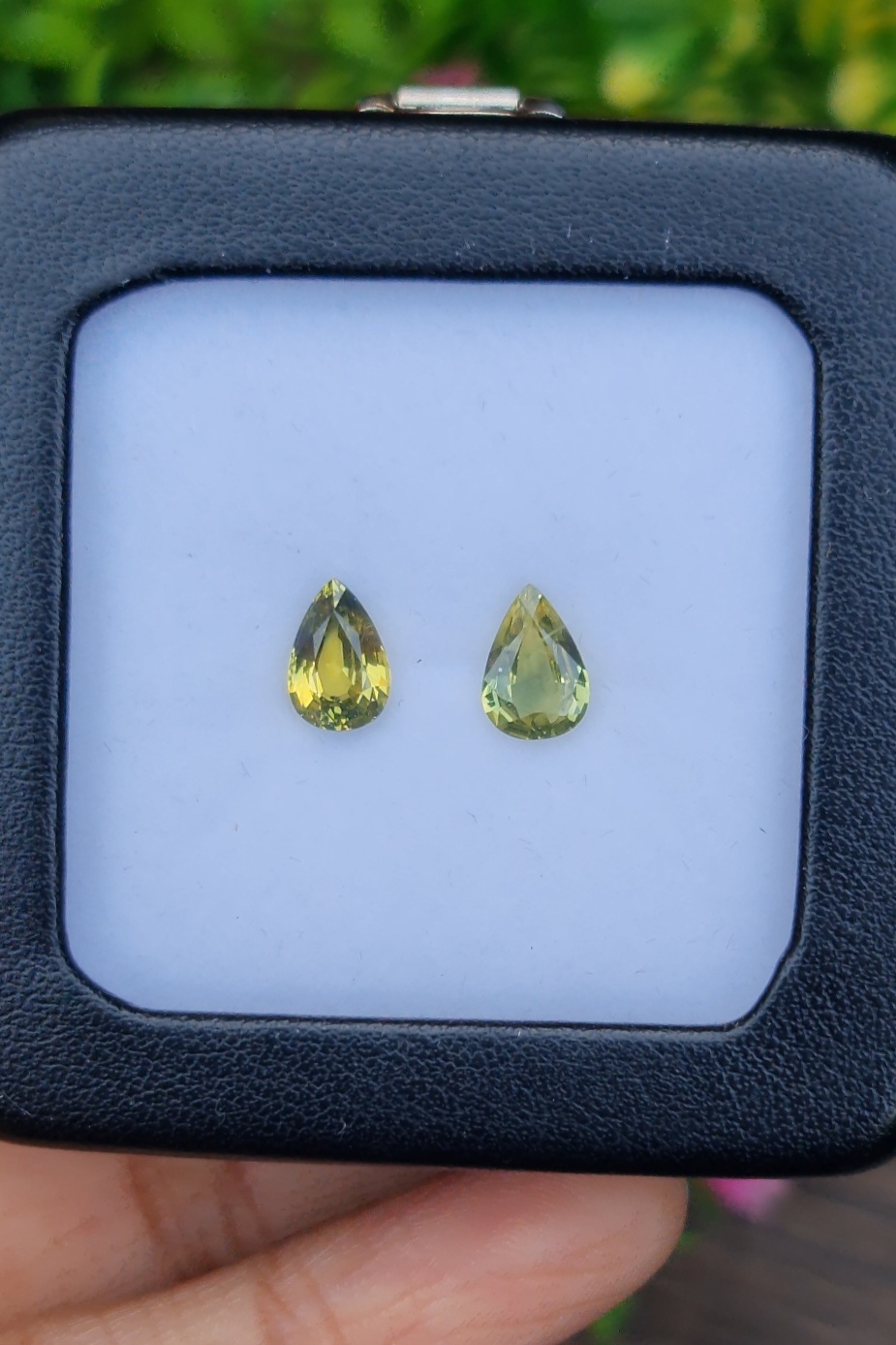 บุษราคัม Yellow Sapphire