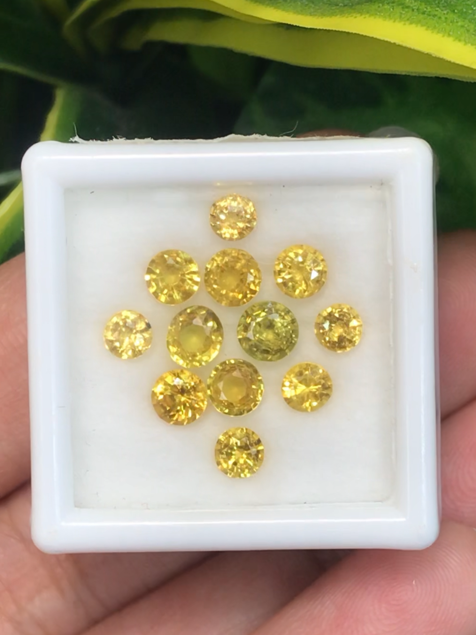 บุษราคัม Yellow Sapphire