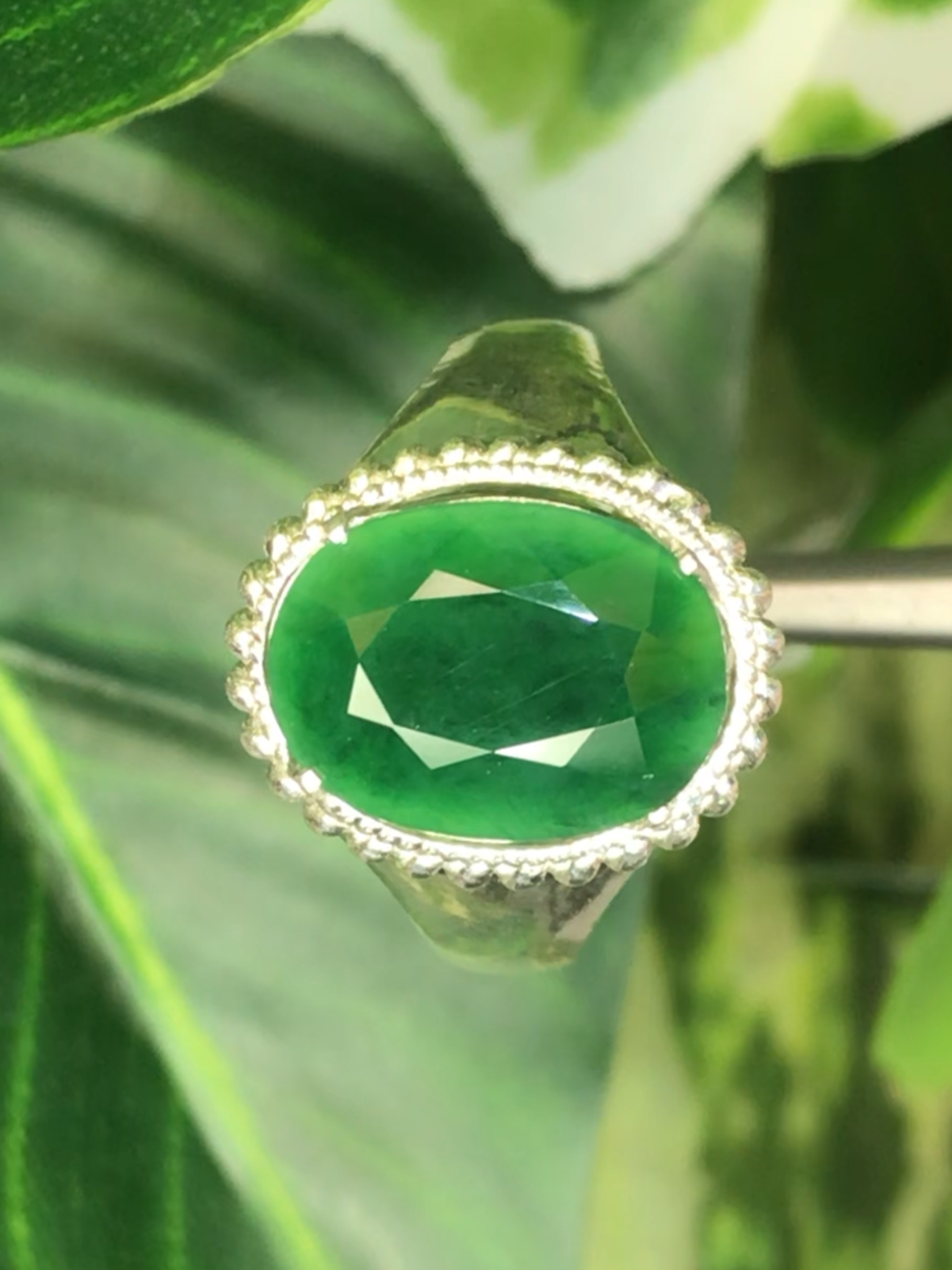 แหวน หยก (jadeite Ring)