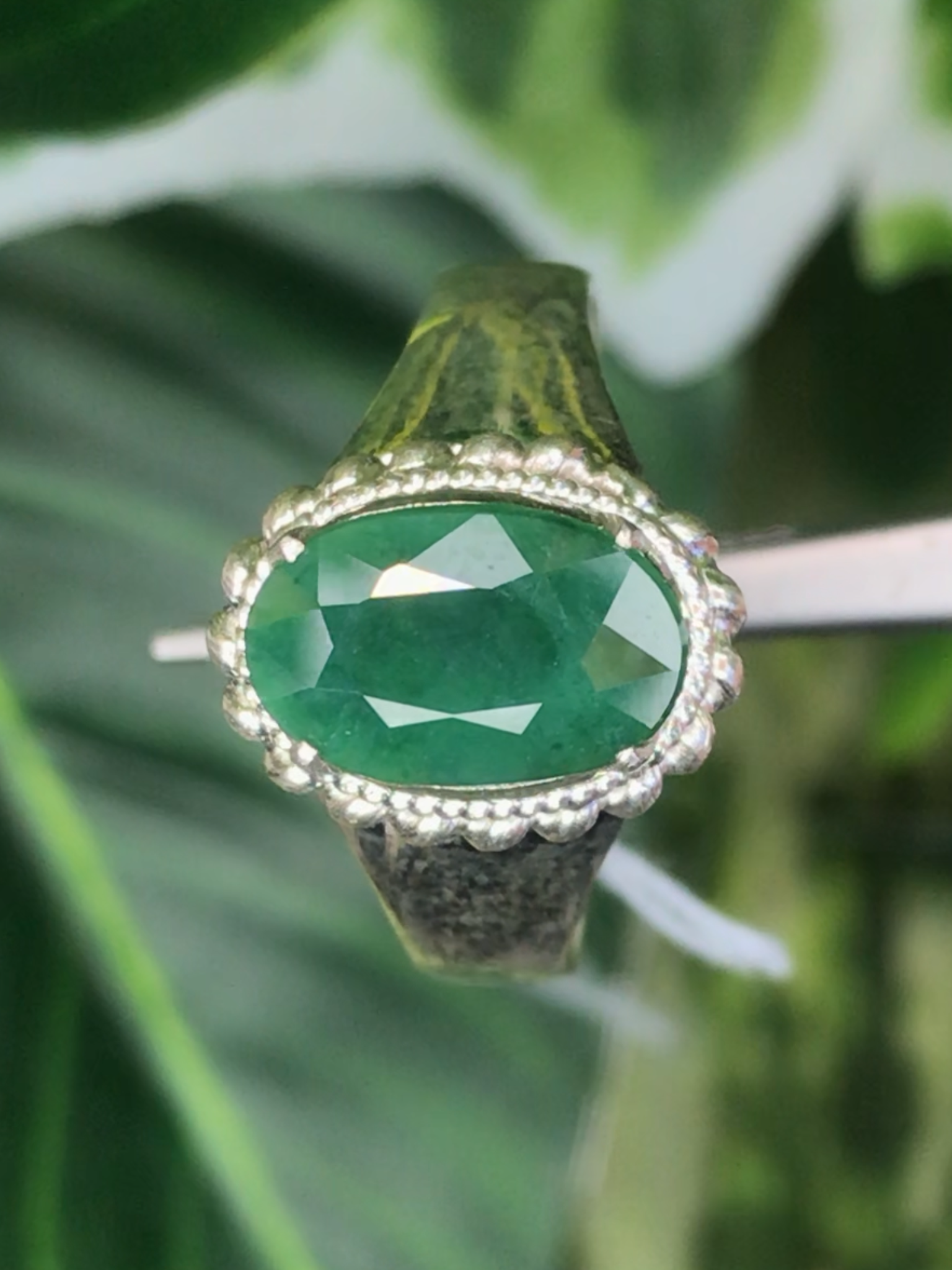 แหวน หยก (jadeite Ring)