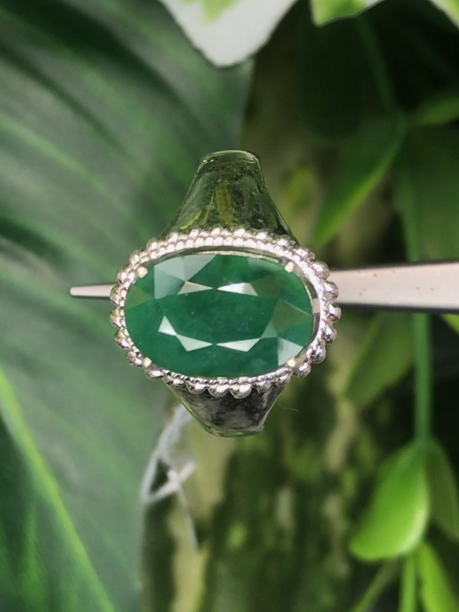 แหวน หยก (jadeite Ring)
