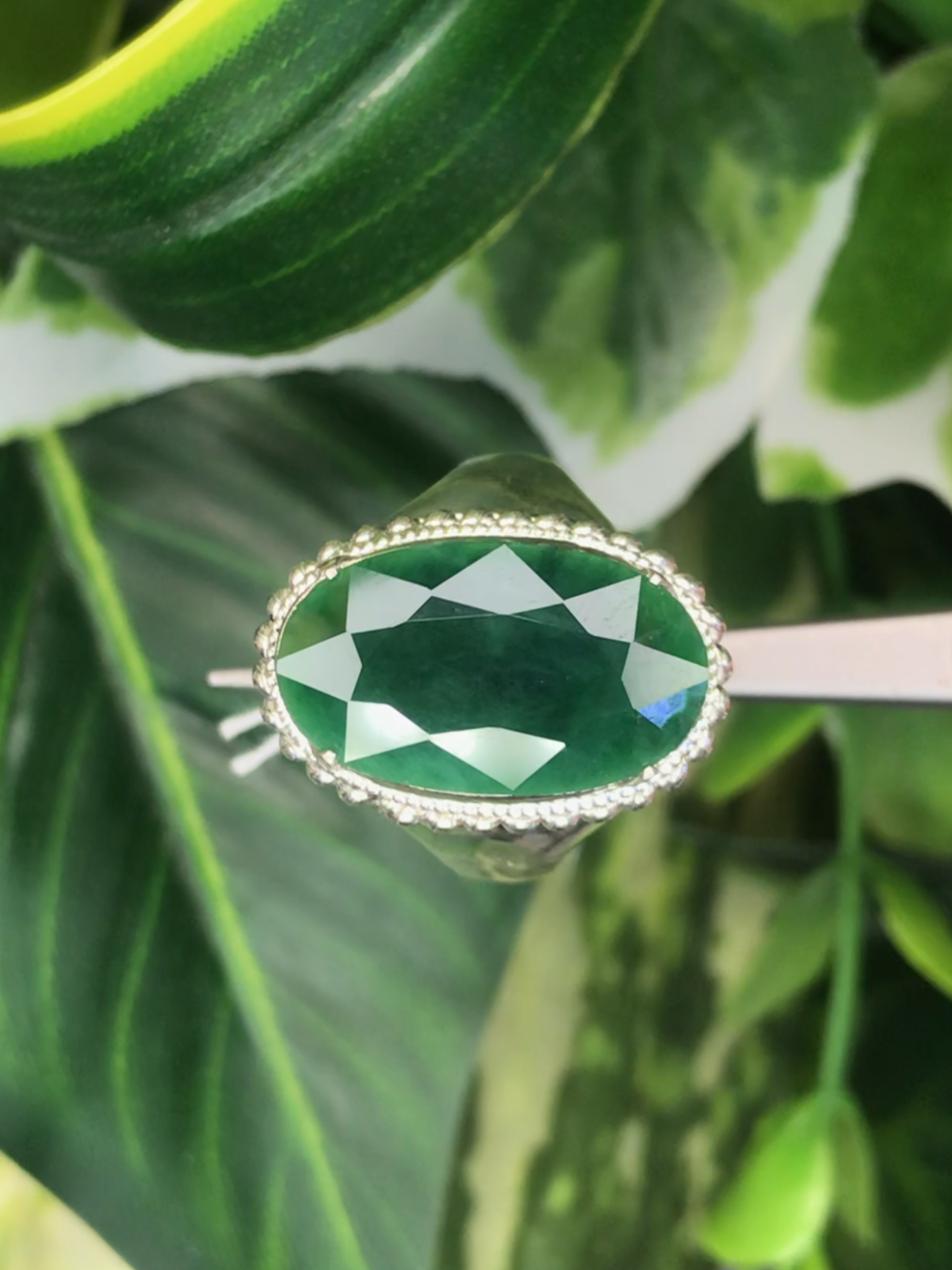 แหวน หยก (jadeite Ring)