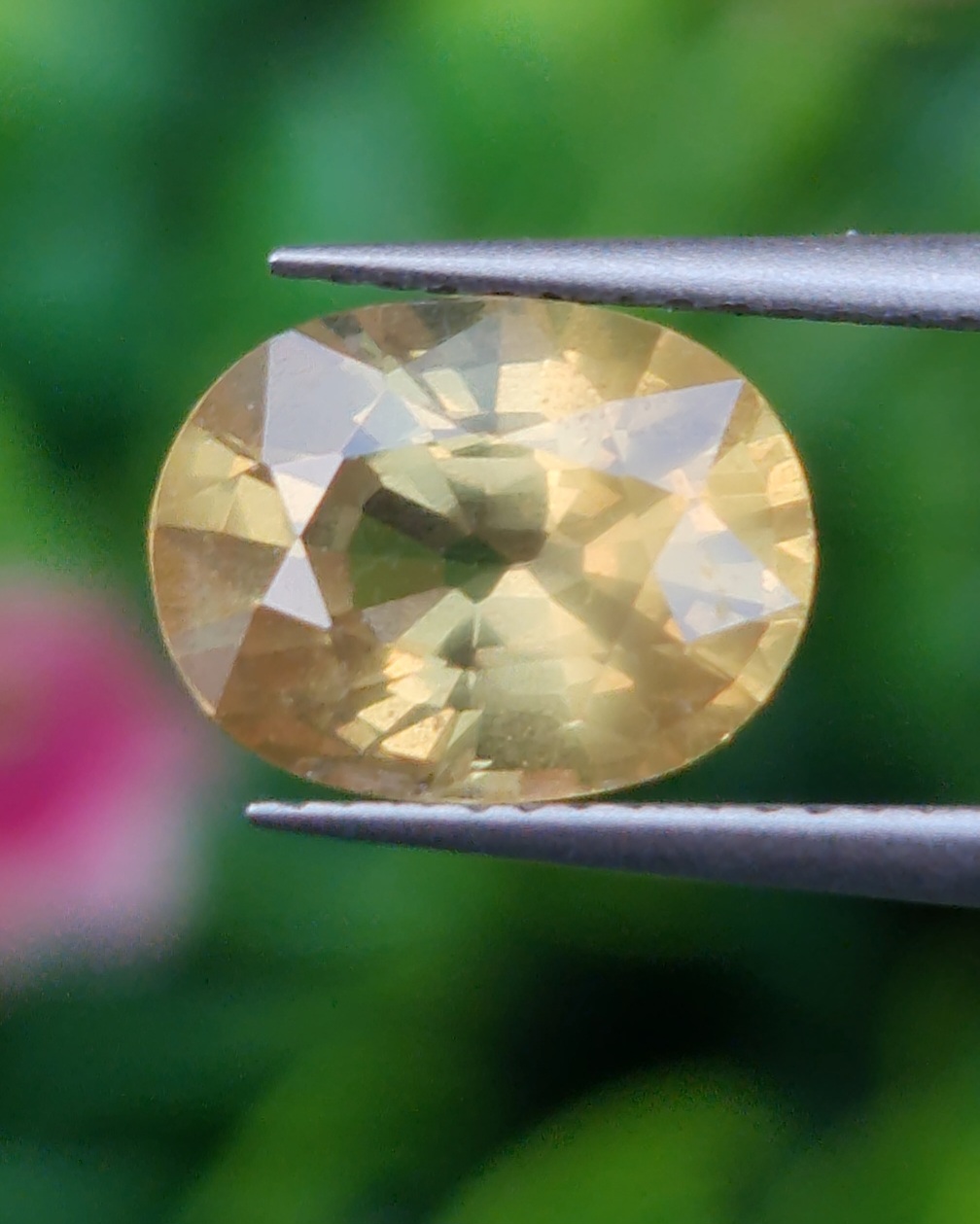 บุษราคัม Yellow Sapphire