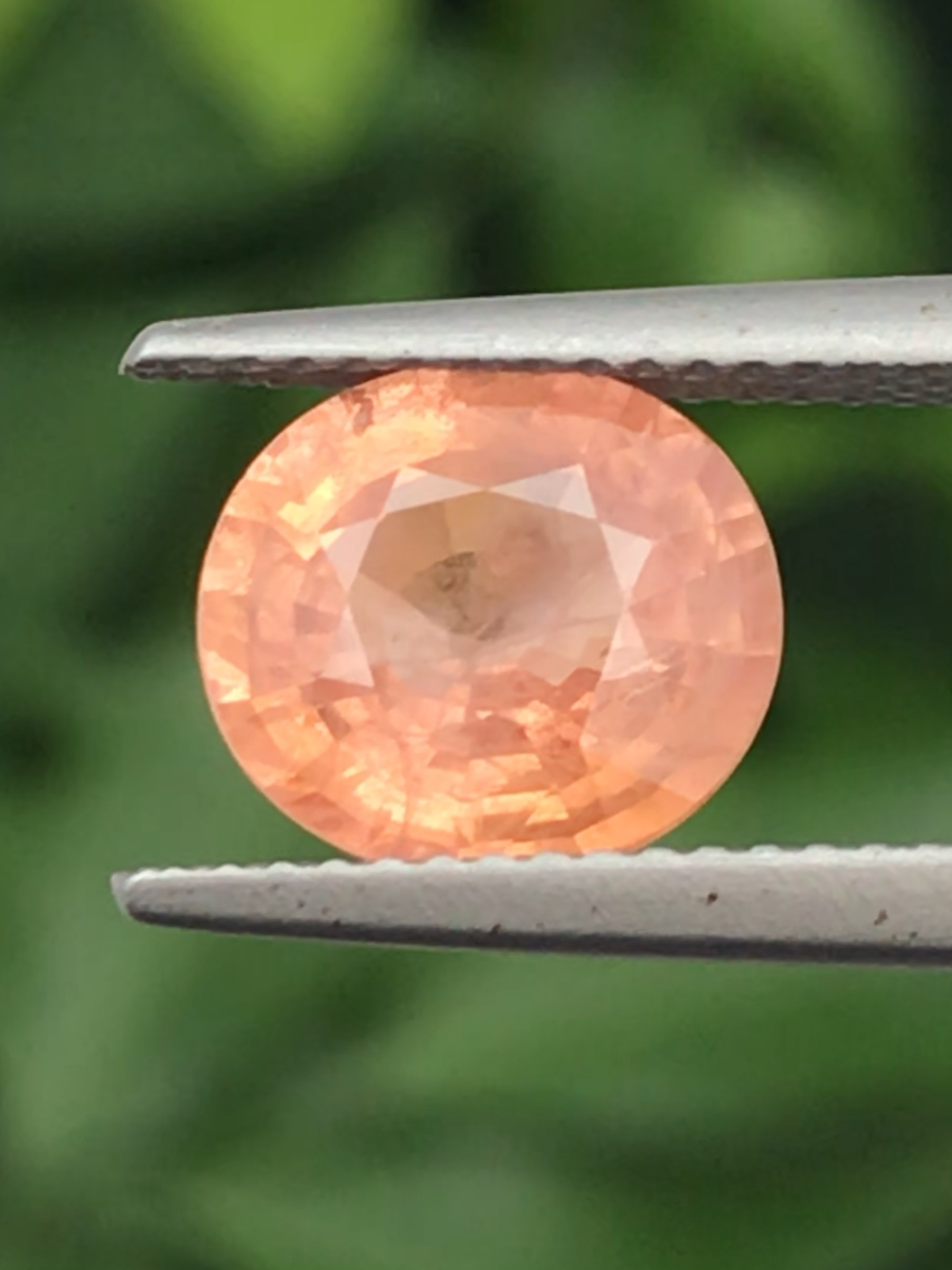 พัดพารัดชา Padparadscha Sapphire