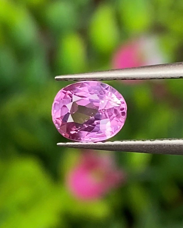 พลอย ชมพู Pink sapphire