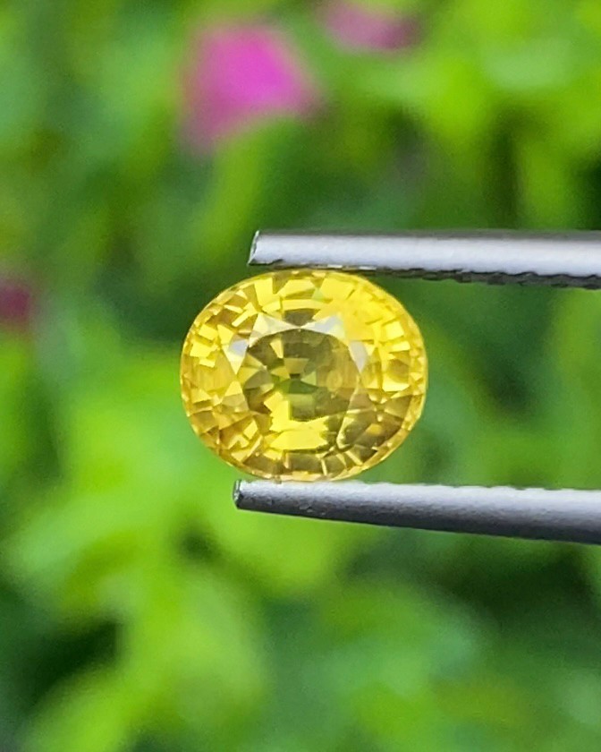 บุษราคัม (Yellow Sapphire)