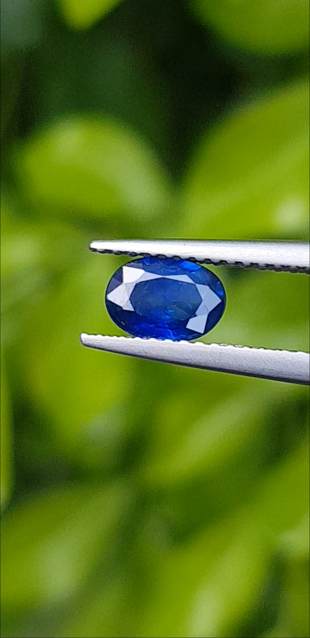 ไพลิน Natural Sapphire