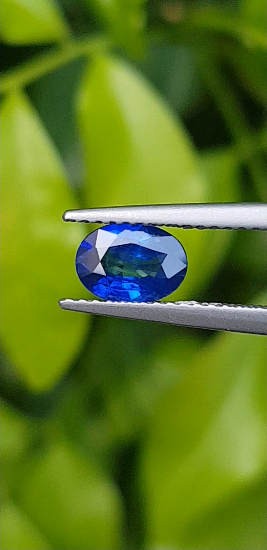ไพลิน Natural Sapphire