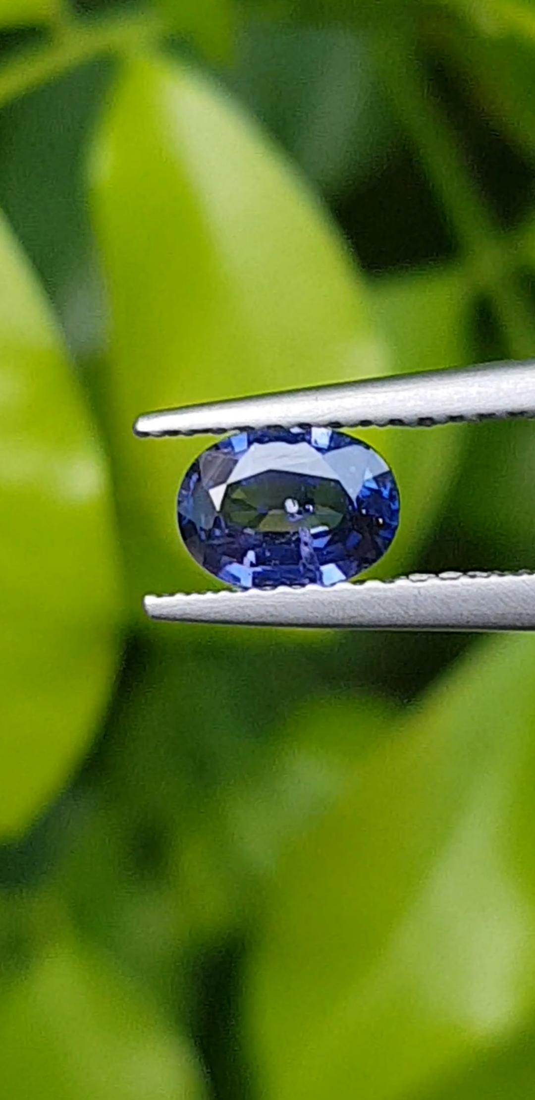 ไพลิน Natural Sapphire