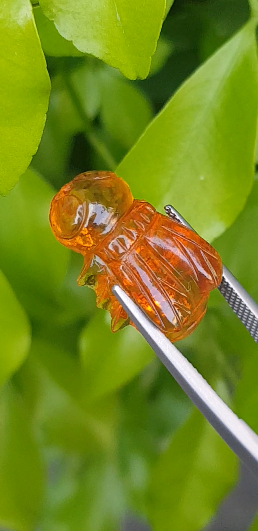 อำพัน Natural Amber