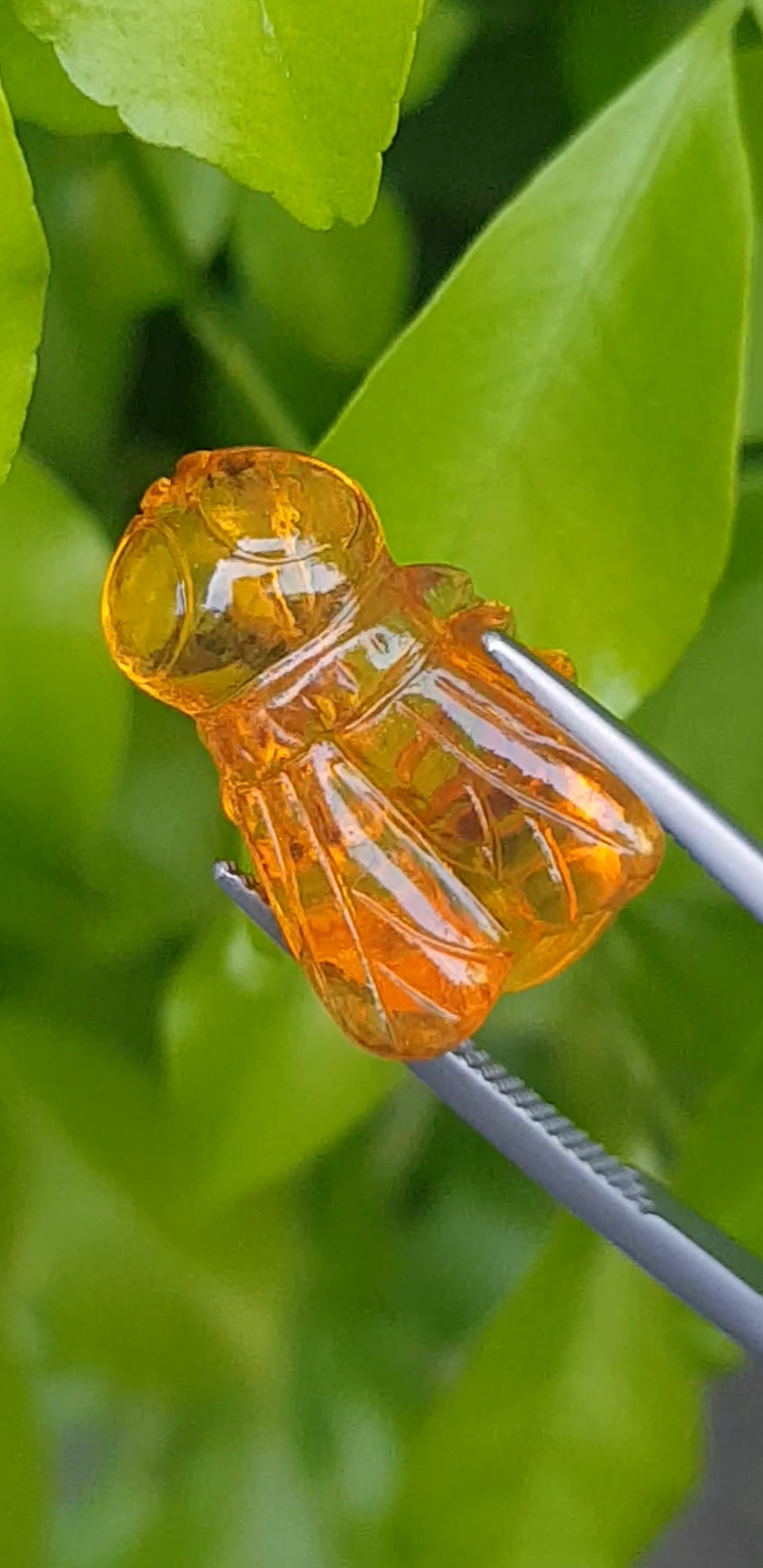 อำพัน Natural Amber