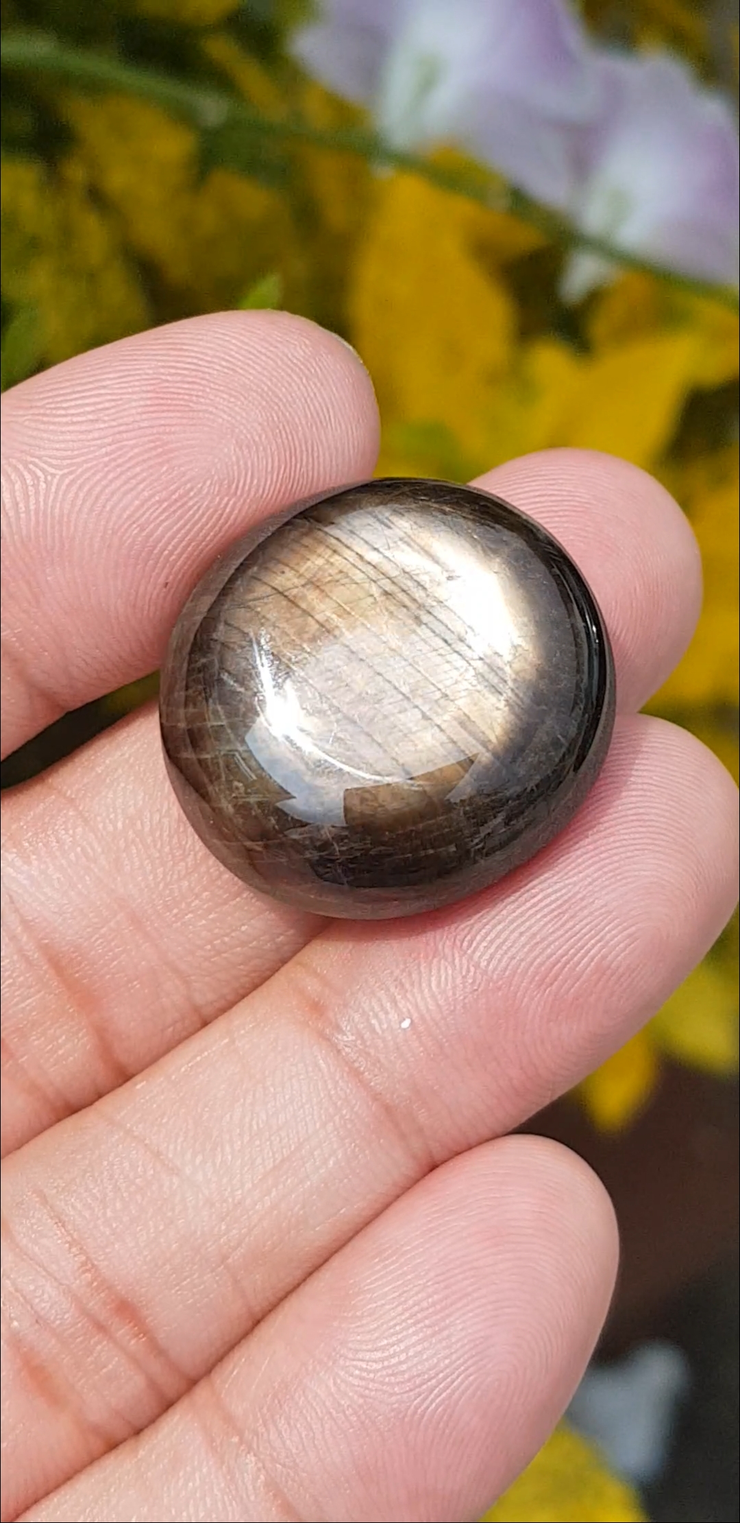 แบล็ค สตาร์ แซฟไฟร์ Natural Star Sapphire