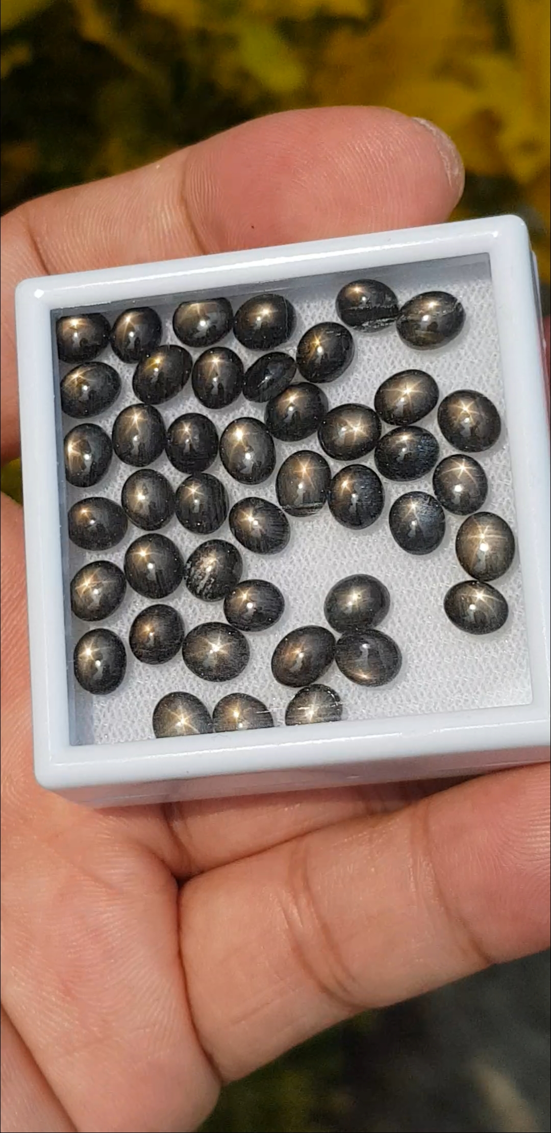 แบล็ค สตาร์ แซฟไฟร์ Natural Star Sapphire