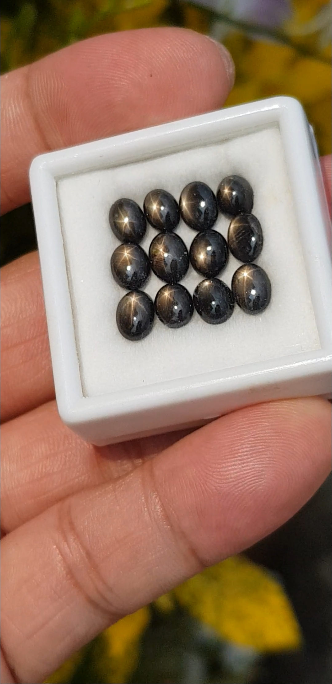 แบล็ค สตาร์ แซฟไฟร์ Natural Star Sapphire