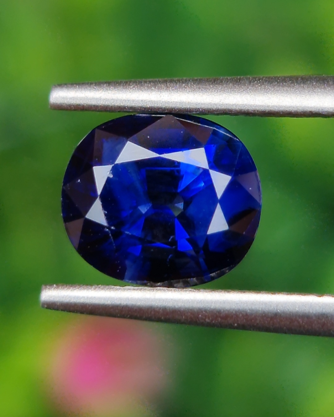 ไพลิน Natural Sapphire