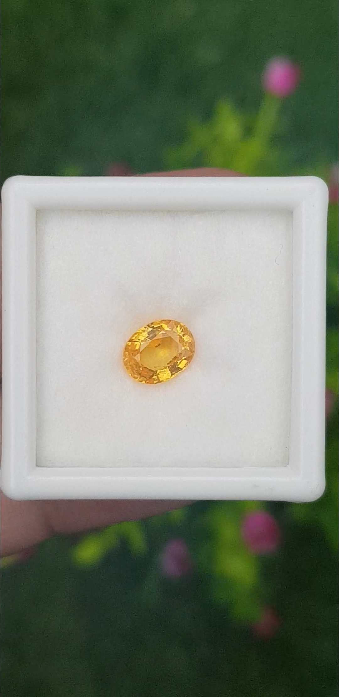 บุษราคัม (Yellow Sapphire)
