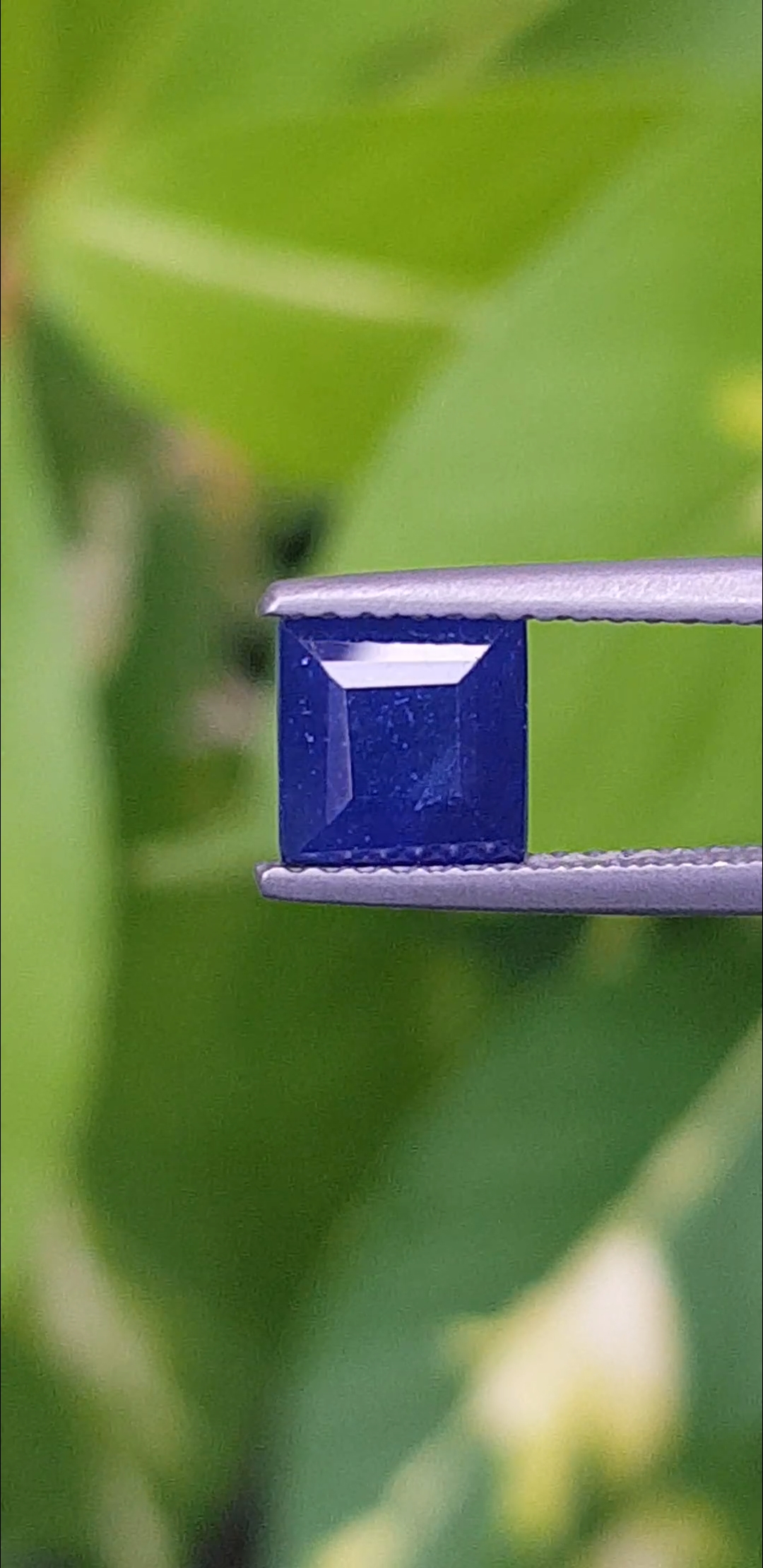 ไพลิน Natural Sapphire