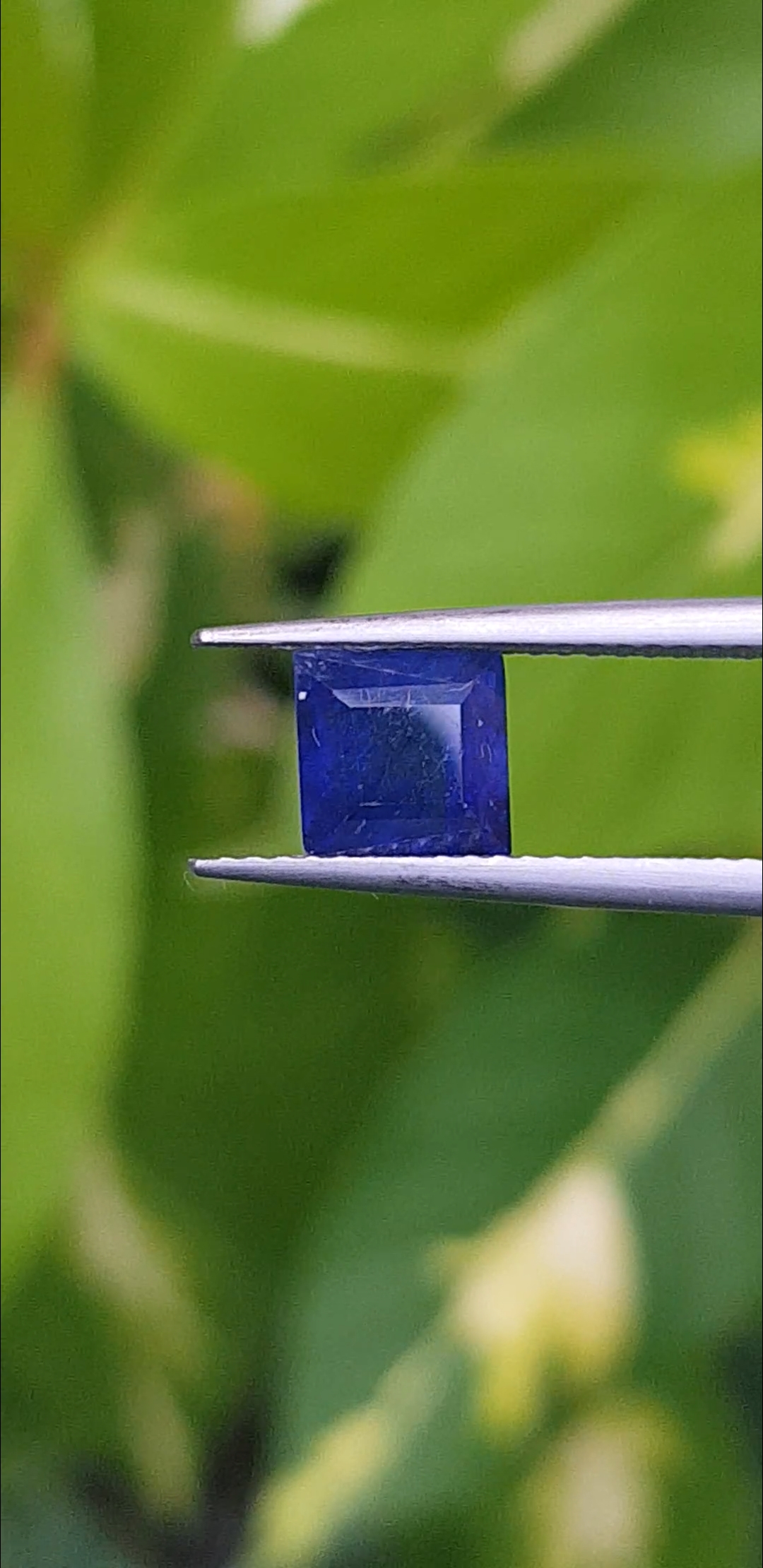 ไพลิน Natural Sapphire