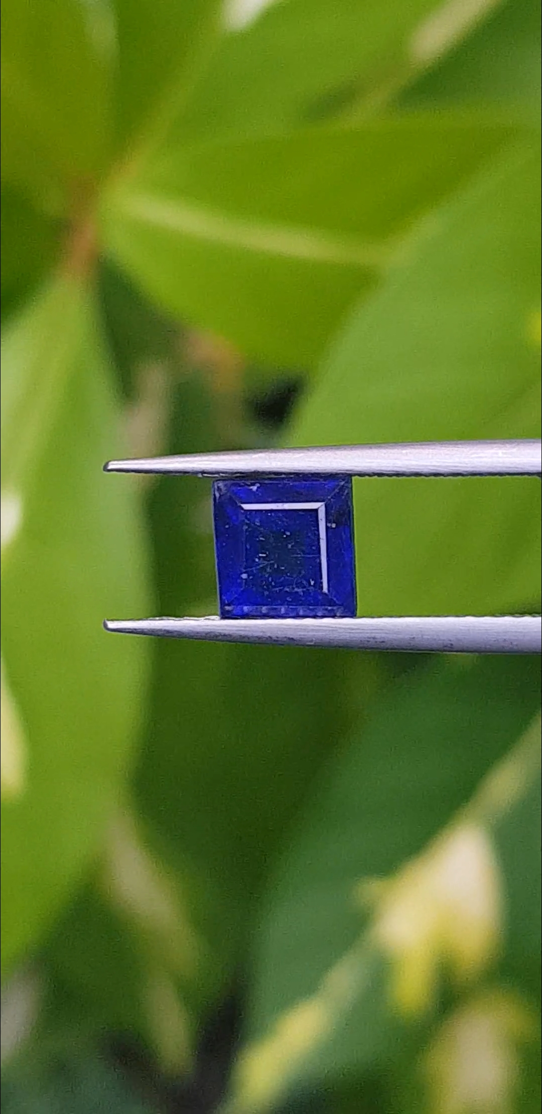 ไพลิน Natural Sapphire
