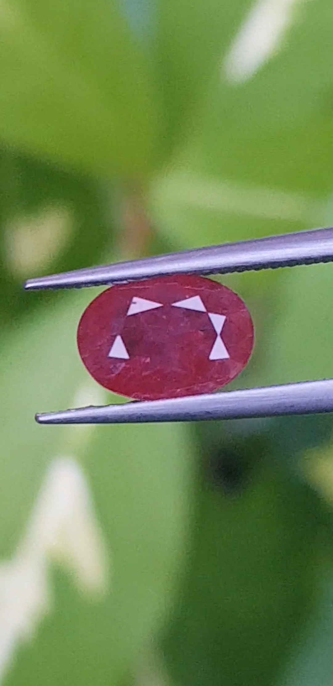 พลอย ทับทิม Ruby sapphire