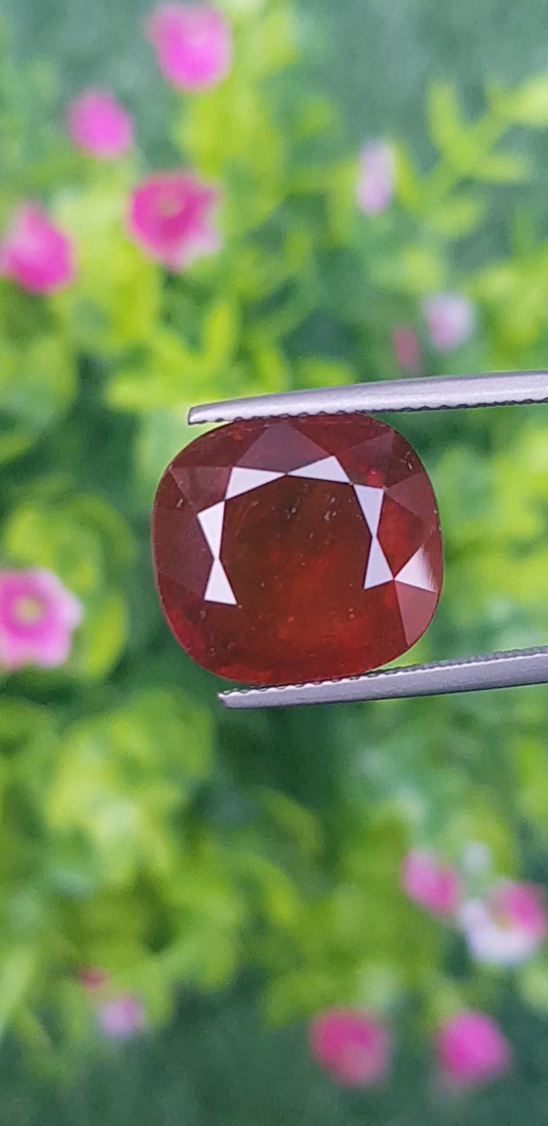 พลอย สเปซซาไทซ์ การ์เน็ต Natural Spessartite Garnet